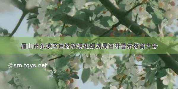 眉山市东坡区自然资源和规划局召开警示教育大会