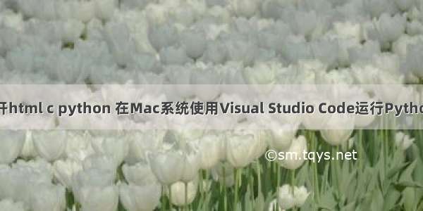 mac 打开html c python 在Mac系统使用Visual Studio Code运行Python的方法