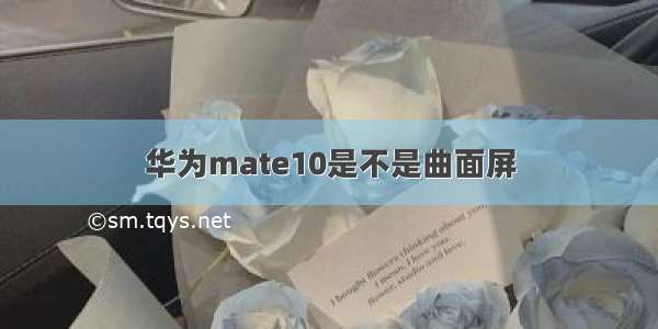 华为mate10是不是曲面屏