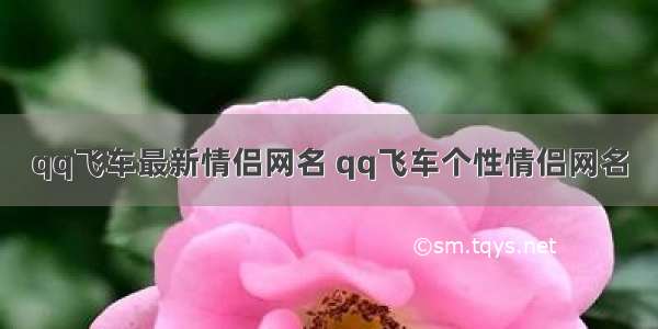 qq飞车最新情侣网名 qq飞车个性情侣网名