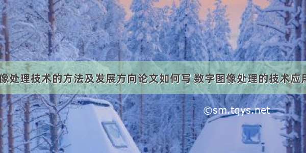 数字图像处理技术的方法及发展方向论文如何写 数字图像处理的技术应用(四篇)