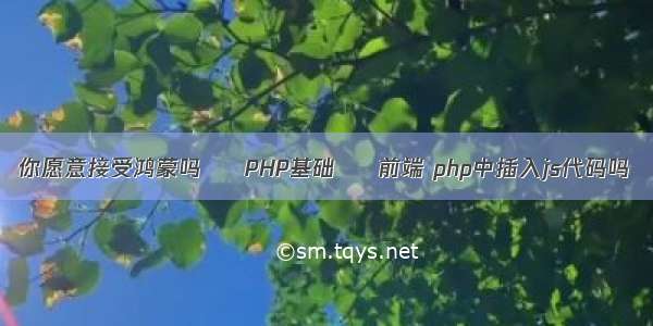 你愿意接受鸿蒙吗 – PHP基础 – 前端 php中插入js代码吗