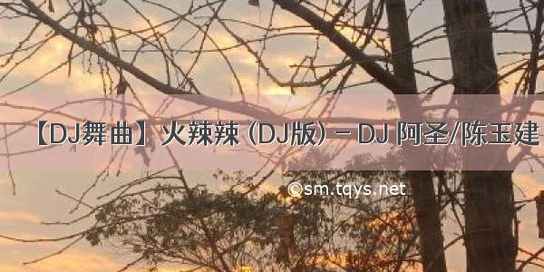 【DJ舞曲】火辣辣 (DJ版) - DJ 阿圣/陈玉建
