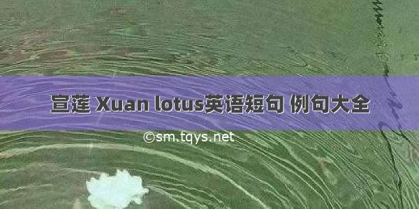 宣莲 Xuan lotus英语短句 例句大全