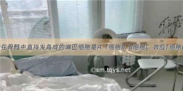 由造血干细胞在骨髓中直接发育成的淋巴细胞是A. T细胞B. B细胞C. 效应T细胞D. 效应B细胞