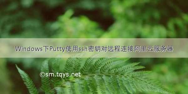 Windows下Putty使用ssh密钥对远程连接阿里云服务器