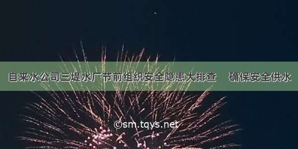 自来水公司三堤水厂节前组织安全隐患大排查     确保安全供水