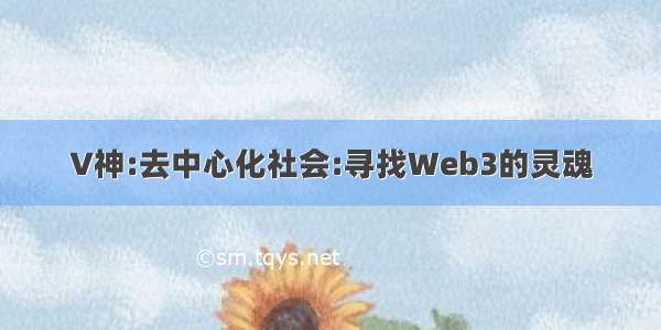 V神:去中心化社会:寻找Web3的灵魂