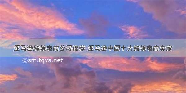 亚马逊跨境电商公司推荐 亚马逊中国十大跨境电商卖家