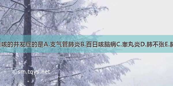 下列不是百日咳的并发症的是A.支气管肺炎B.百日咳脑病C.睾丸炎D.肺不张E.肺气肿ABCDE