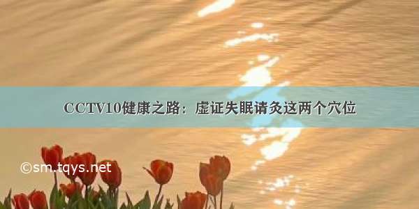 CCTV10健康之路：虚证失眠请灸这两个穴位