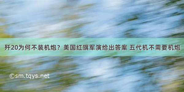 歼20为何不装机炮？美国红旗军演给出答案 五代机不需要机炮