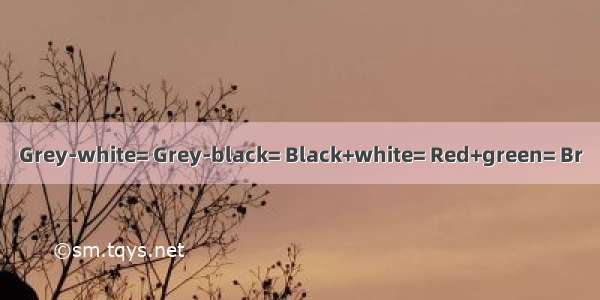 Grey-white= Grey-black= Black+white= Red+green= Br