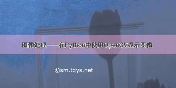 图像处理——在Python中使用OpenCV显示图像