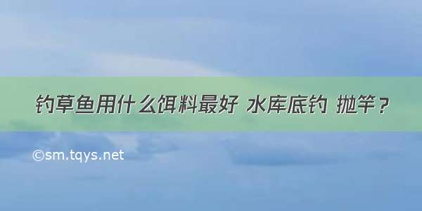 钓草鱼用什么饵料最好 水库底钓 抛竿？