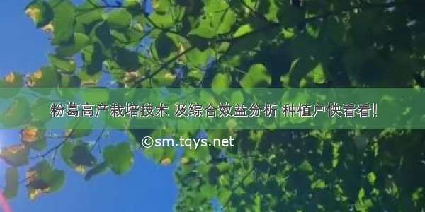 粉葛高产栽培技术 及综合效益分析 种植户快看看！