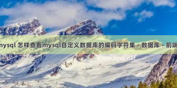 mysql查询mysql 怎样查看mysql自定义数据库的编码字符集 – 数据库 – 前端 mysql 优化