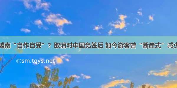 越南“自作自受”？取消对中国免签后 如今游客曾“断崖式”减少