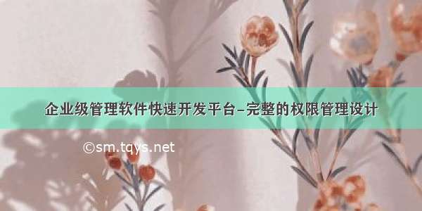 企业级管理软件快速开发平台-完整的权限管理设计