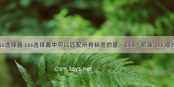 6种css选择器 css选择器中可以匹配所有标签的是 – CSS – 前端 css 细线表格