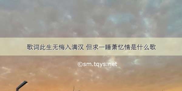 歌词此生无悔入满汉 但求一睡萧忆情是什么歌