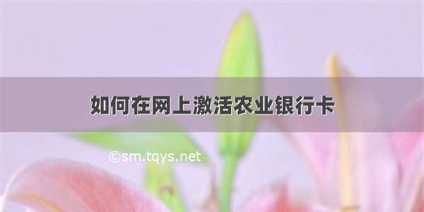 如何在网上激活农业银行卡