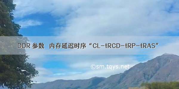 DDR 参数   内存延迟时序“CL-tRCD-tRP-tRAS”
