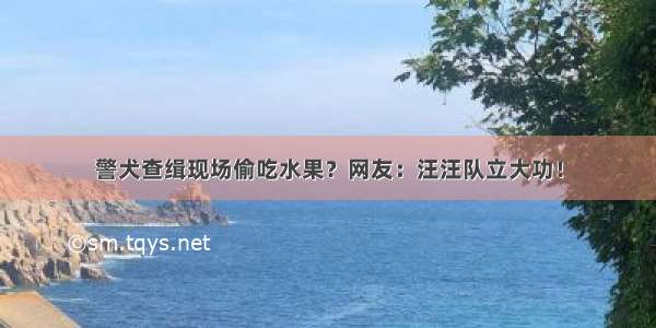 警犬查缉现场偷吃水果？网友：汪汪队立大功！