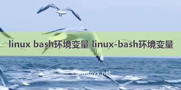 linux bash环境变量 linux-bash环境变量