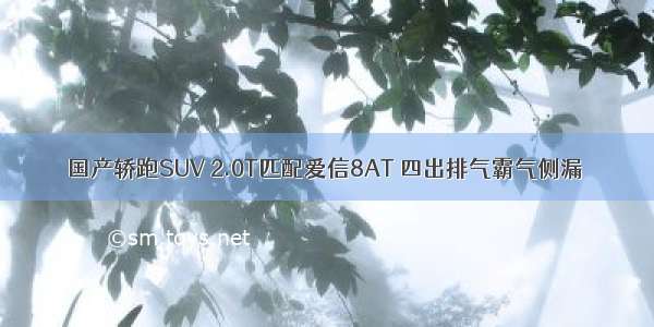 国产轿跑SUV 2.0T匹配爱信8AT 四出排气霸气侧漏