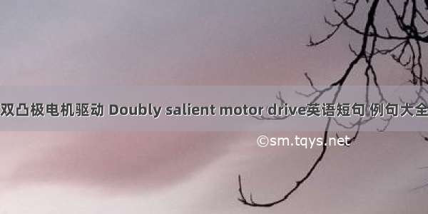 双凸极电机驱动 Doubly salient motor drive英语短句 例句大全