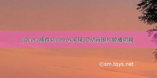 jQuery插件slicebox实现3D动画图片轮播切换