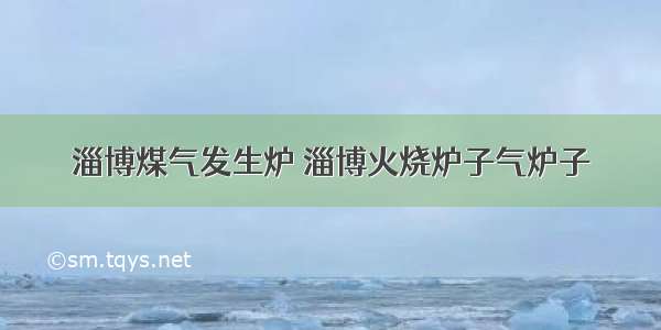 淄博煤气发生炉 淄博火烧炉子气炉子