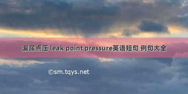 漏尿点压 leak point pressure英语短句 例句大全