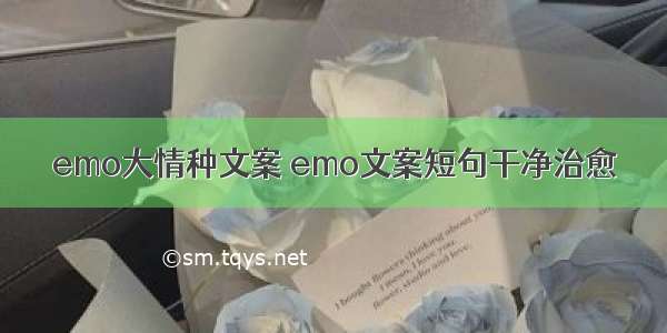 emo大情种文案 emo文案短句干净治愈