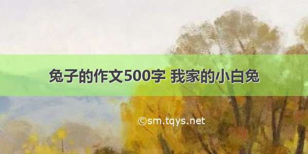 兔子的作文500字 我家的小白兔