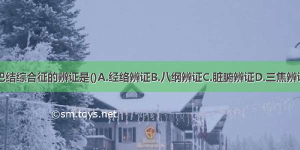 皮肤黏膜淋巴结综合征的辨证是()A.经络辨证B.八纲辨证C.脏腑辨证D.三焦辨证E.卫气营血