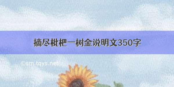 摘尽枇杷一树金说明文350字