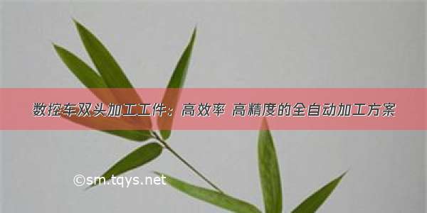 数控车双头加工工件：高效率 高精度的全自动加工方案