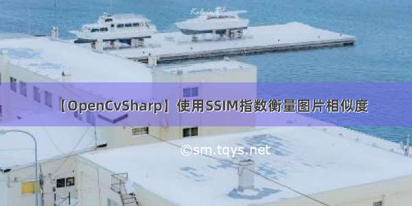 【OpenCvSharp】使用SSIM指数衡量图片相似度