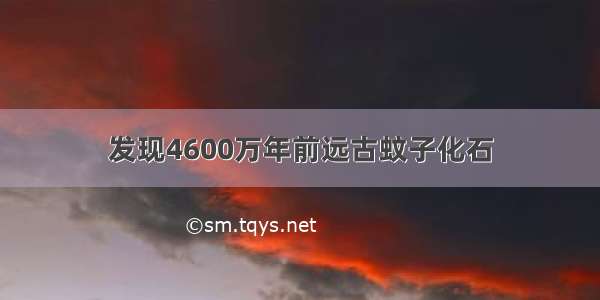 发现4600万年前远古蚊子化石