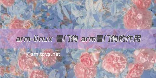 arm-linux 看门狗 arm看门狗的作用