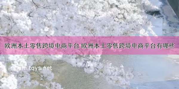 欧洲本土零售跨境电商平台 欧洲本土零售跨境电商平台有哪些