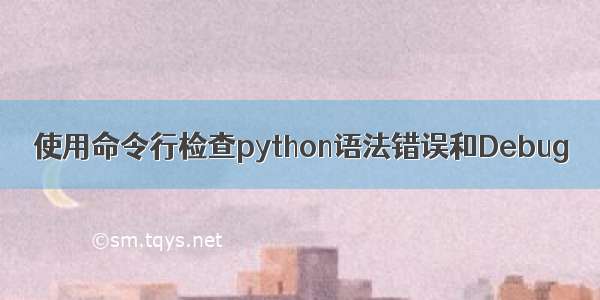 使用命令行检查python语法错误和Debug