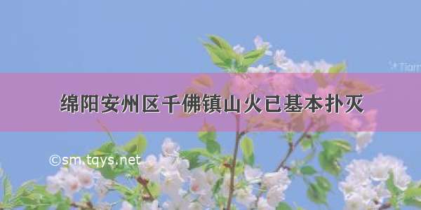 绵阳安州区千佛镇山火已基本扑灭