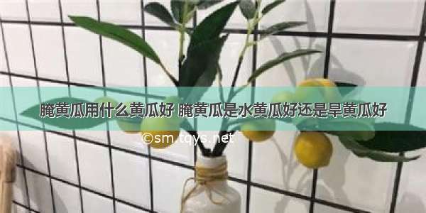 腌黄瓜用什么黄瓜好 腌黄瓜是水黄瓜好还是旱黄瓜好