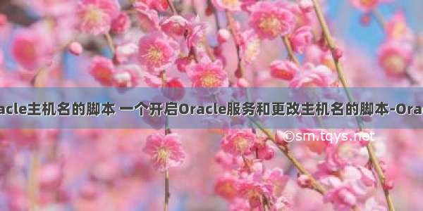 oracle主机名的脚本 一个开启Oracle服务和更改主机名的脚本-Oracle
