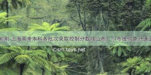 刚刚 上海高考本科各批次录取控制分数线公布！小布提供查分通道