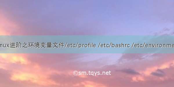 Linux进阶之环境变量文件/etc/profile /etc/bashrc /etc/environment