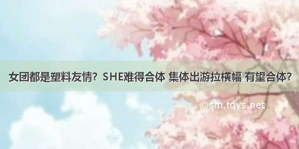 女团都是塑料友情？SHE难得合体 集体出游拉横幅 有望合体？